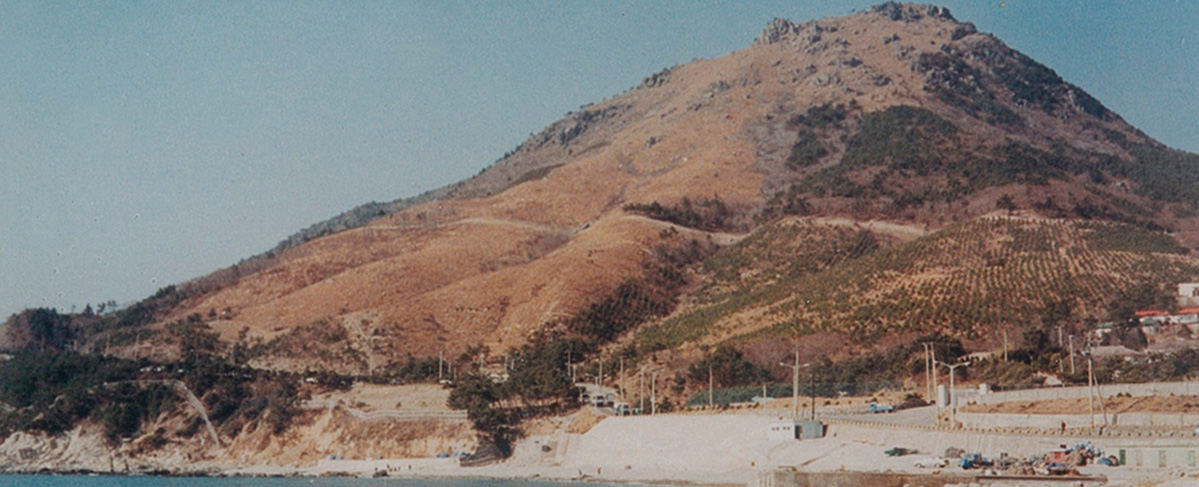 동삼1지구 주택건립사업 이전