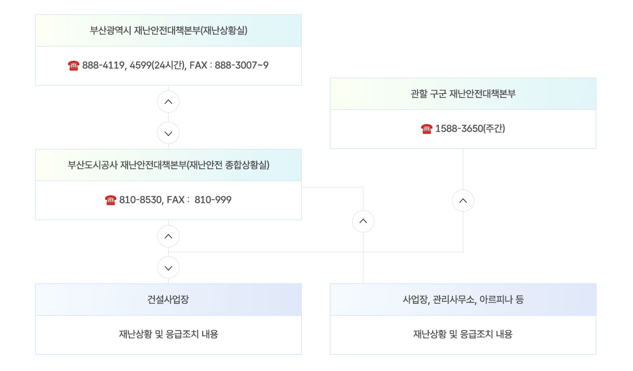 보고체계 이미지