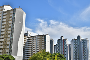 국민(순환)임대