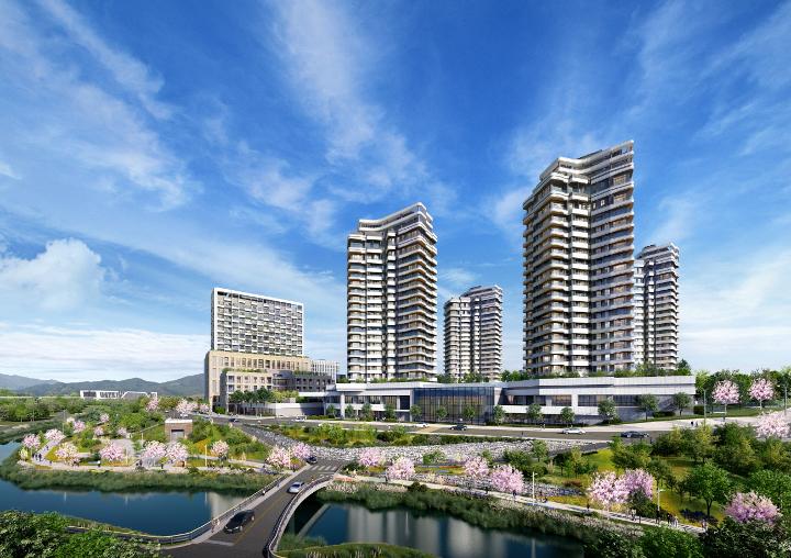 메디타운이미지10